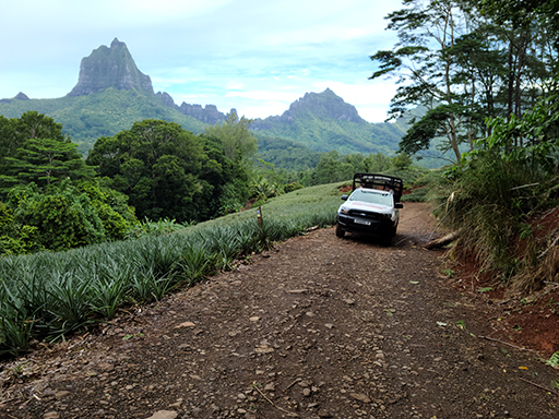 2022 Tahiti Taravao HXP - Day 3 (Devotional, Moorea Jeep Safari, Magic Mountain Overlook, Jam Tasting, Belvedere Lookout, Marae-o-Mahine, Touching Sacred Eels, Fresh Pineapple & Coconut, Making Headbands, Beach Games, Tahitian Dance & Fire Show)