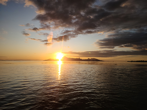 2022 Tahiti Taravao HXP - Day 9 (Pouring the Foundation, Playing with Poisonous Centipedes, Spray Painting Each Other, Digging a Bottomless Pit, Plage Vaiava (Vayava Beach), Another Epic Sunset, Learning a Tahitian Dance (Te Tiare Tahiti), Stingray)