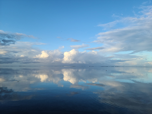 2022 Tahiti Taravao HXP - Day 15 (Epic Morning Devotional, Volunteering at Youth Center, Working at Community Garden on Mountain, Solis, Tiana Sees Her New House, Vaihiria Ward Activity: Coconut Milk, Learning Drums & Tahitian Dances, Making Flower Crowns