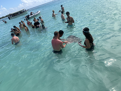 2022 Tahiti Taravao HXP - Day 4 (Kass's Birthday, Swimming with Sharks & Stingrays, Motu Fareone Island, Making Motu Fareone (E'ia Ota), Catching Crabs for 'Alca-Crab', Dance Party on Ferry to Tahiti, Catching Geckos)