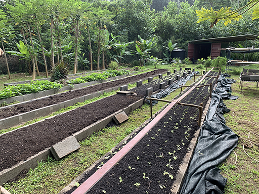 2022 Tahiti Taravao HXP - Day 15 (Epic Morning Devotional, Volunteering at Youth Center, Working at Community Garden on Mountain, Solis, Tiana Sees Her New House, Vaihiria Ward Activity: Coconut Milk, Learning Drums & Tahitian Dances, Making Flower Crowns