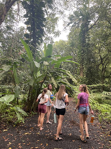2022 Tahiti Taravao HXP - Day 5 (Staying at Hiti Moana Villa, Church with ❤ Bishop Taylor ❤, Harrison Smith Botanical Garden, Youth Activity & Dinner & Singing with the Papara Ward)