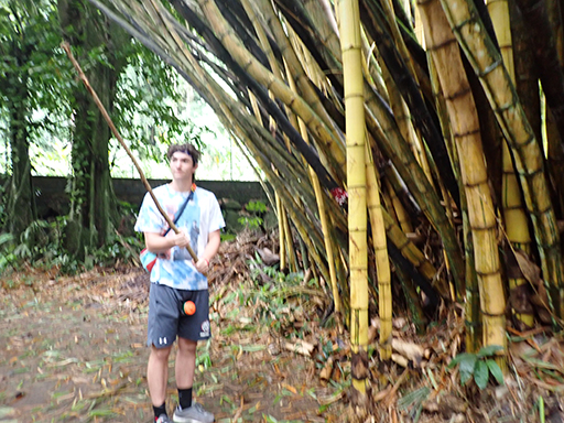 2022 Tahiti Taravao HXP - Day 5 (Staying at Hiti Moana Villa, Church with ❤ Bishop Taylor ❤, Harrison Smith Botanical Garden, Youth Activity & Dinner & Singing with the Papara Ward)