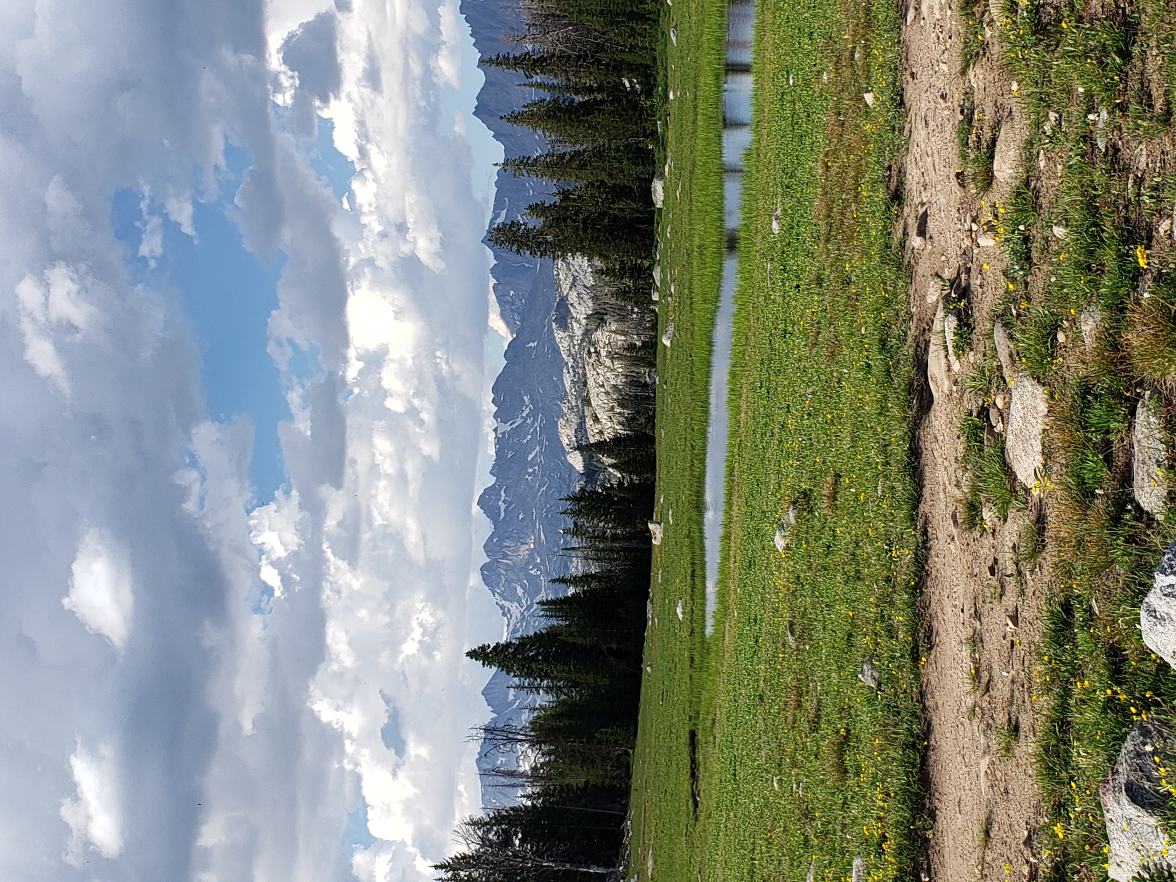 2022 Wind River Trip - Day 1 (4 hours of SpongeBob SquarePants in the car, Backpacking from Pole Creek Trailhead to Sapphire Lake, Getting eaten by swarms of mosquitoes)