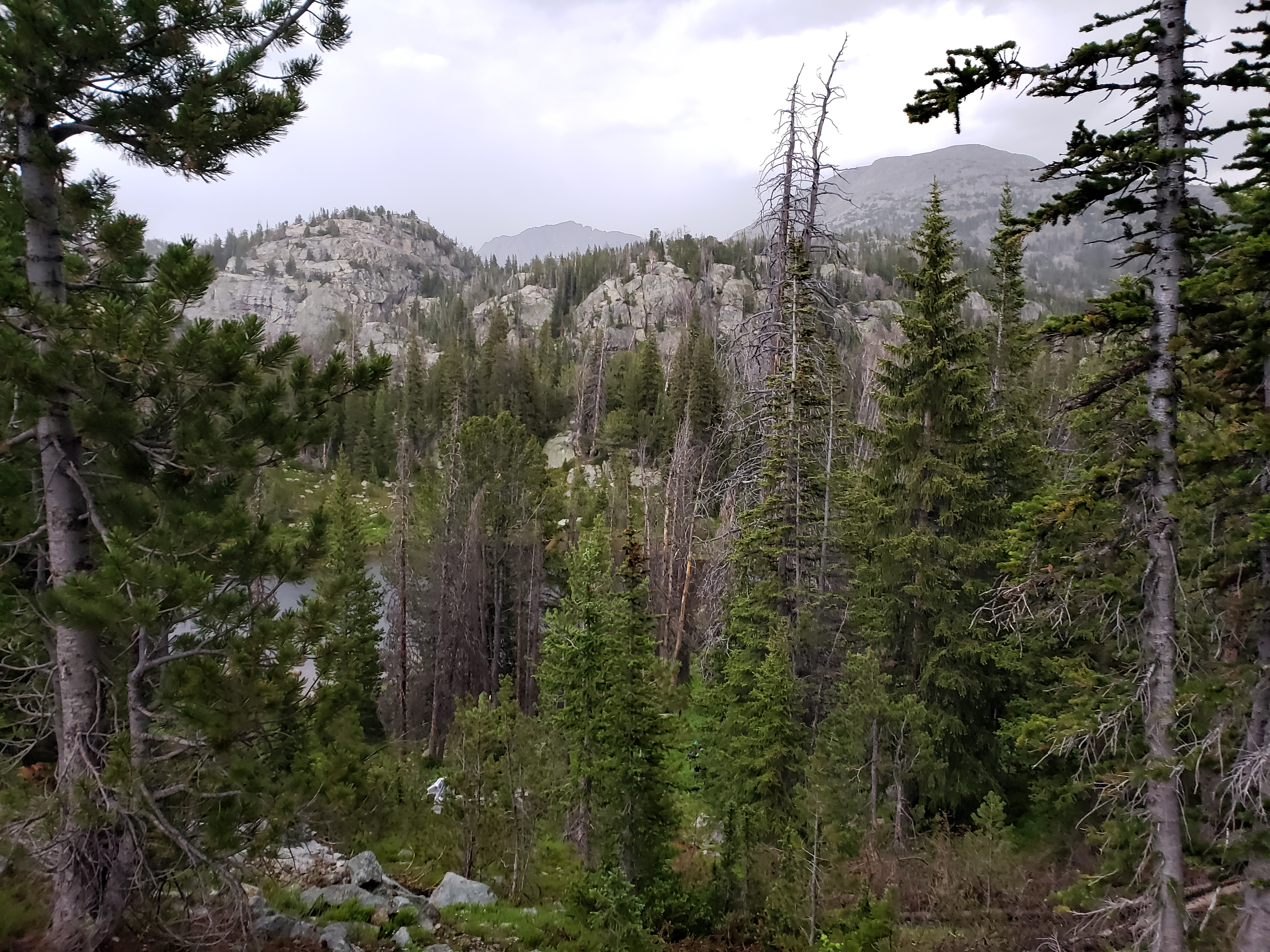2022 Wind River Trip - Day 1 (4 hours of SpongeBob SquarePants in the car, Backpacking from Pole Creek Trailhead to Sapphire Lake, Getting eaten by swarms of mosquitoes)