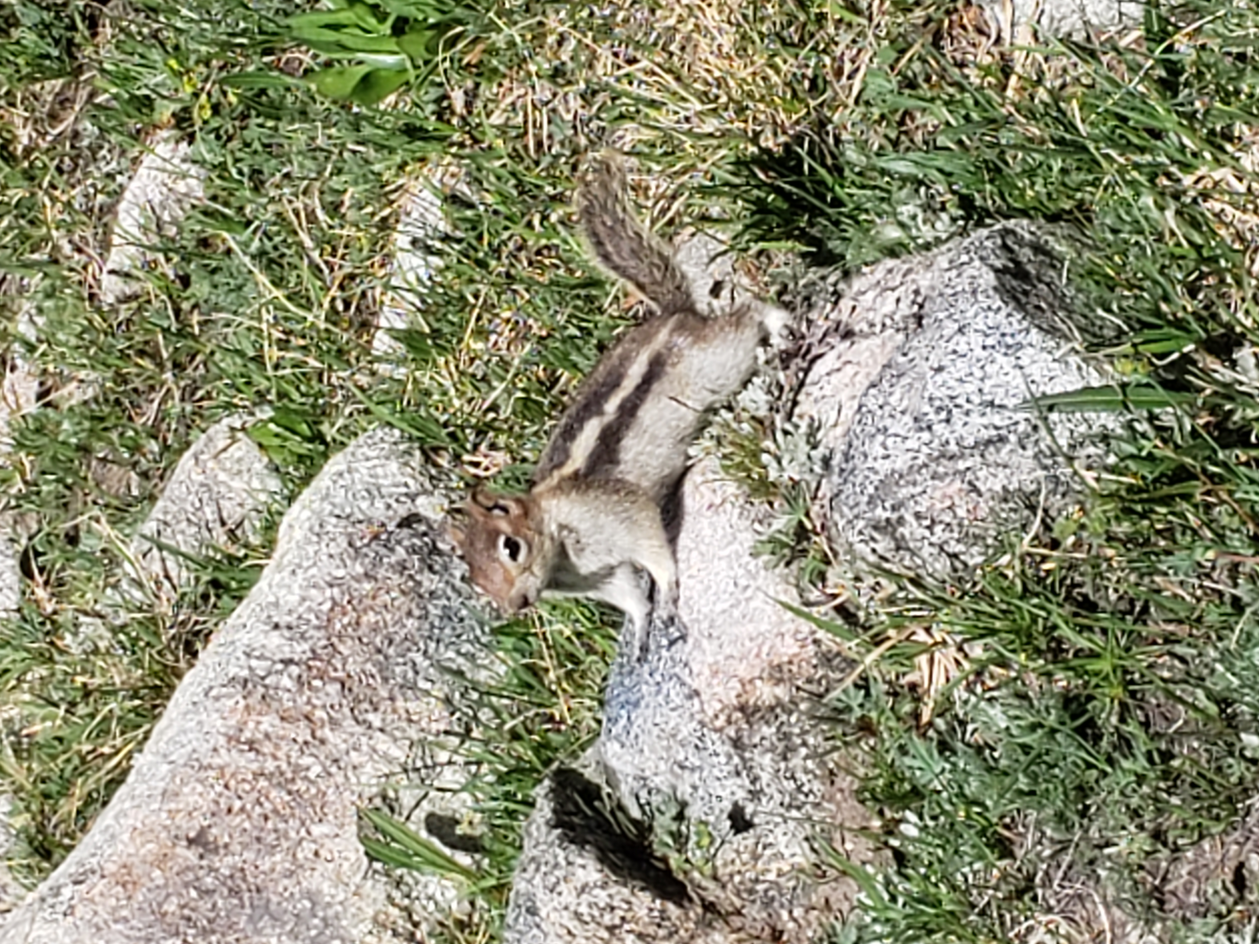 2022 Wind River Trip - Day 2 (Sapphire Lake to Island Lake, Titcomb Basin)