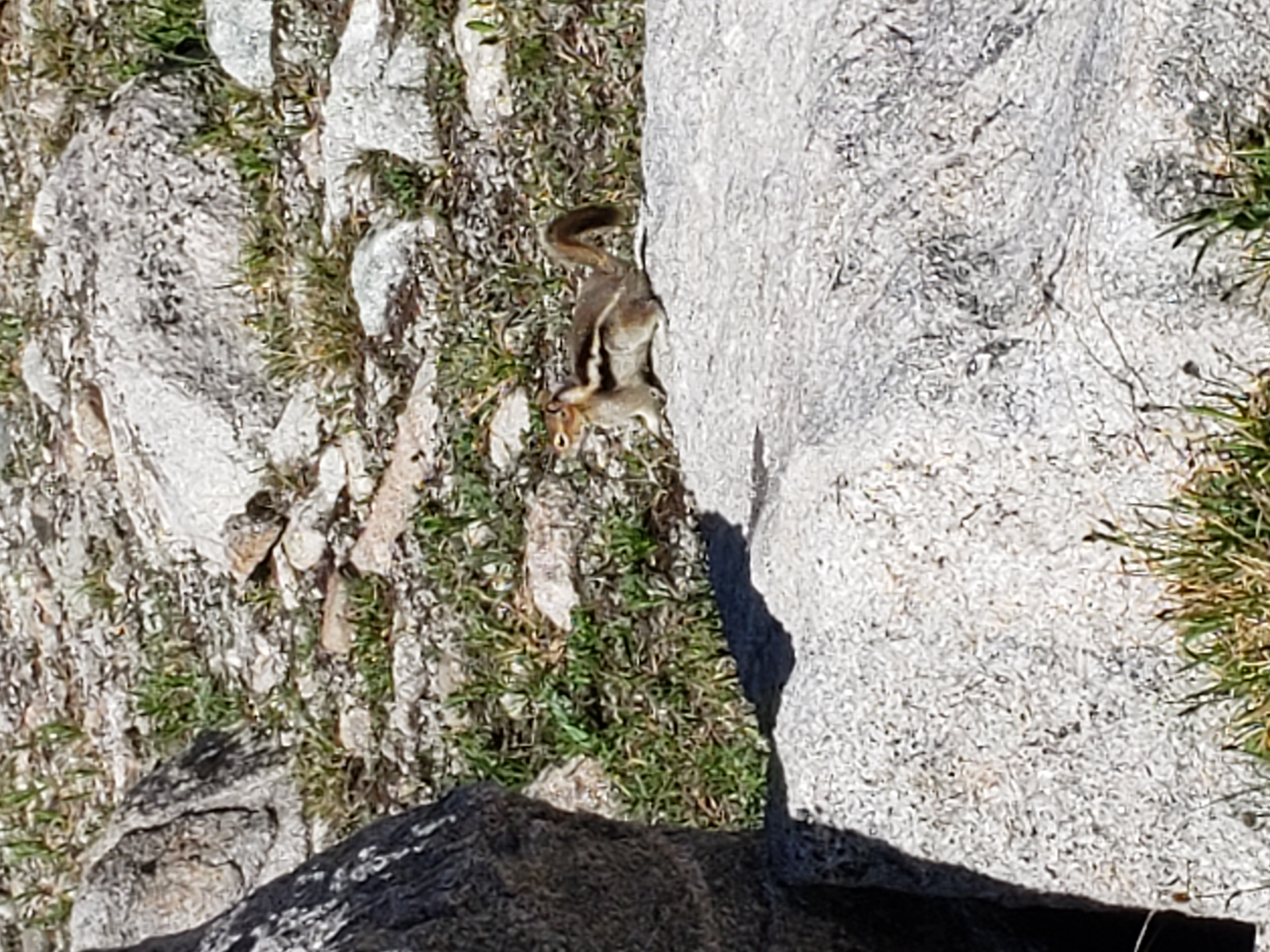 2022 Wind River Trip - Day 2 (Sapphire Lake to Island Lake, Titcomb Basin)