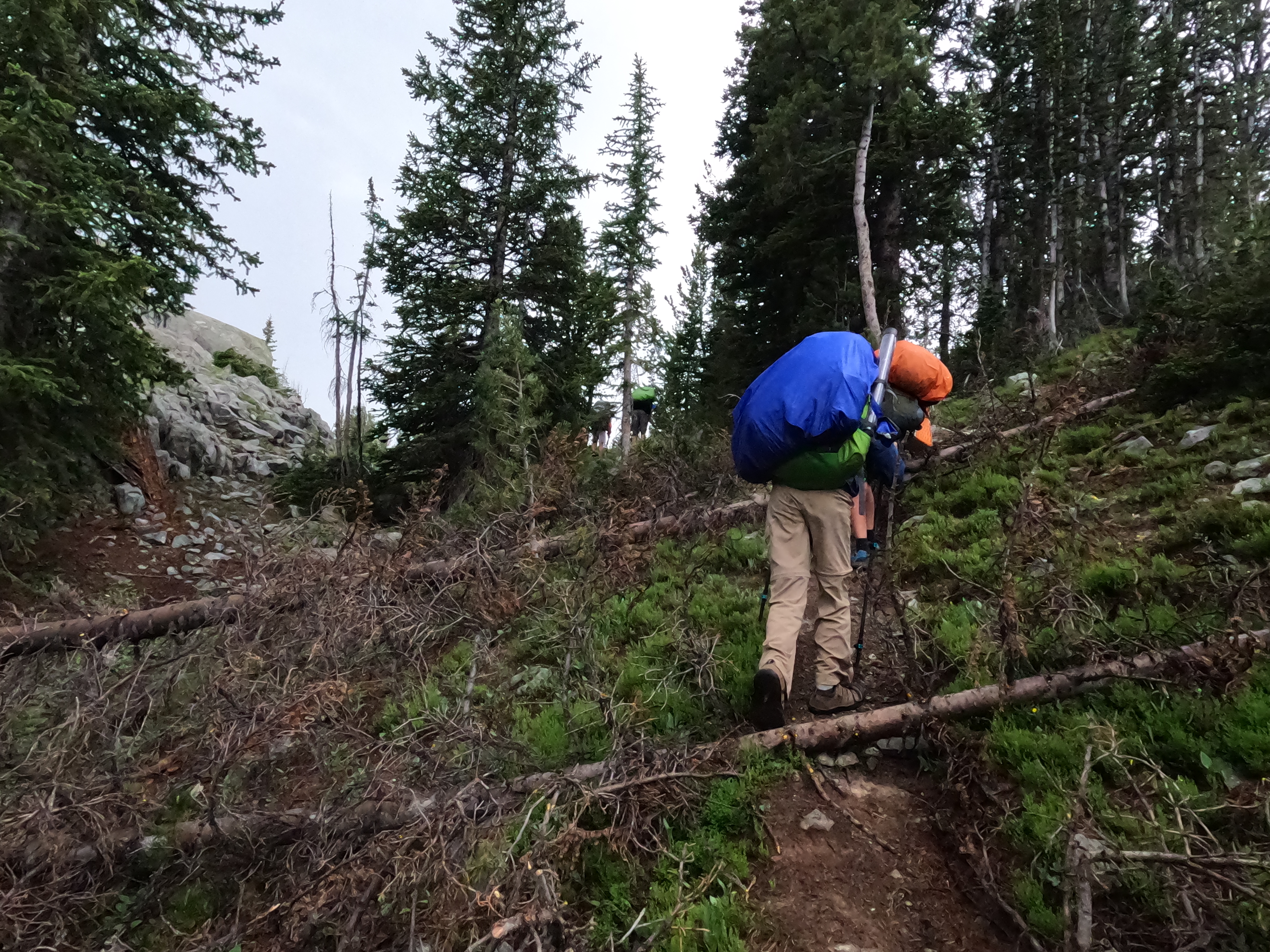 2022 Wind River Trip - Day 1 (4 hours of SpongeBob SquarePants in the car, Backpacking from Pole Creek Trailhead to Sapphire Lake, Getting eaten by swarms of mosquitoes)