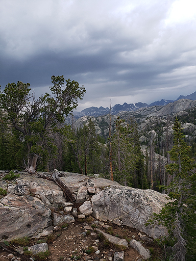 2022 Wind River Trip - Day 1 (4 hours of SpongeBob SquarePants in the car, Backpacking from Pole Creek Trailhead to Sapphire Lake, Getting eaten by swarms of mosquitoes)