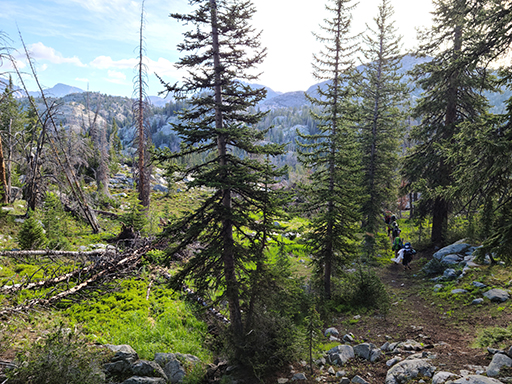 2022 Wind River Trip - Day 4 (Sapphire Lake to Pole Creek Trailhead, Jim Klumpp - CDT Trailrunner, Burger & Fries in Pinedale, 4 hours of SpongeBob SquarePants in the car)
